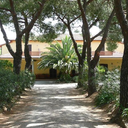אלברזה Podere Oslavia Az.Agr.Bio Giannini מראה חיצוני תמונה