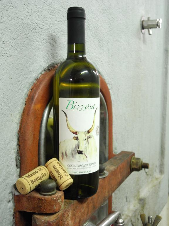 אלברזה Podere Oslavia Az.Agr.Bio Giannini מראה חיצוני תמונה