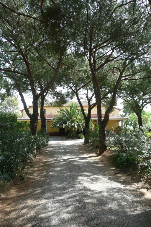 אלברזה Podere Oslavia Az.Agr.Bio Giannini מראה חיצוני תמונה