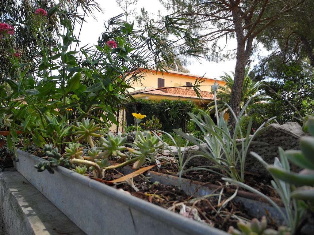 אלברזה Podere Oslavia Az.Agr.Bio Giannini מראה חיצוני תמונה